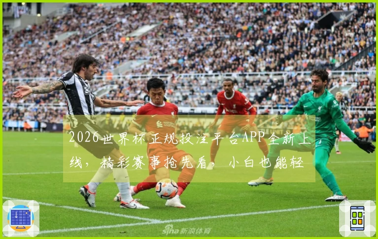 2026世界杯正规投注平台APP全新上线，精彩赛事抢先看，小白也能轻松上手！